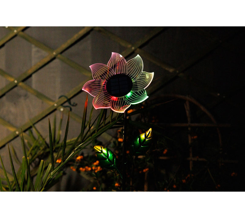 Jennings Set of 2 Solar Standing Fibre Flower Stakes — View 10