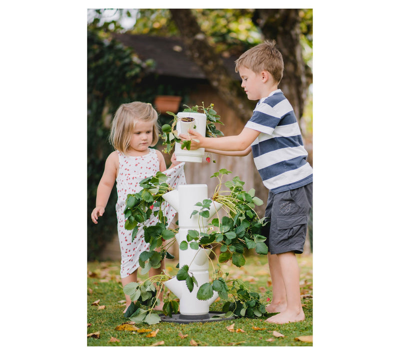 Gusta Garden Sissi Strawberry Self Watering Planter — View 9