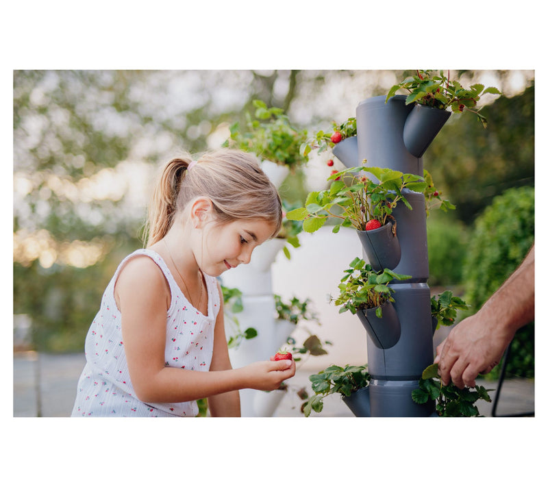 Gusta Garden Sissi Strawberry Self Watering Planter — View 10
