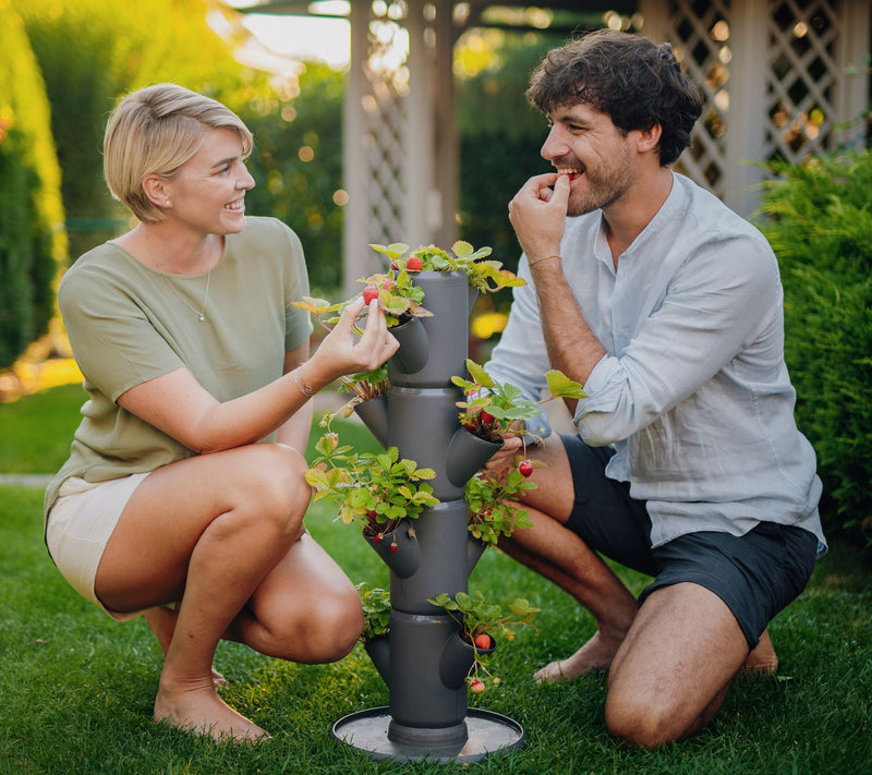 Gusta Garden Sissi Strawberry Self Watering Planter — View 8