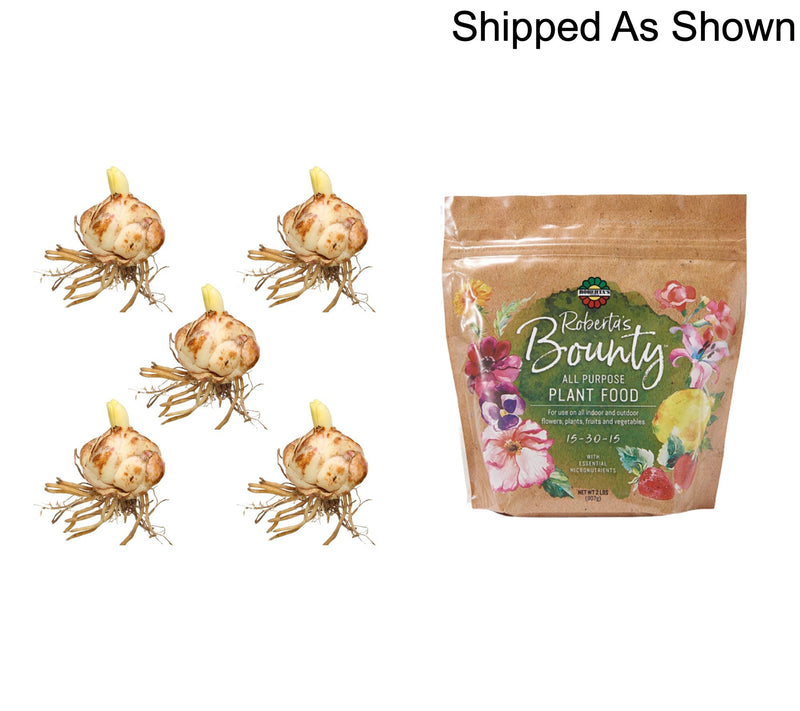 Roberta's 5-Piece Roselily Live Bulbs with 2lb Fertilizer — View 8