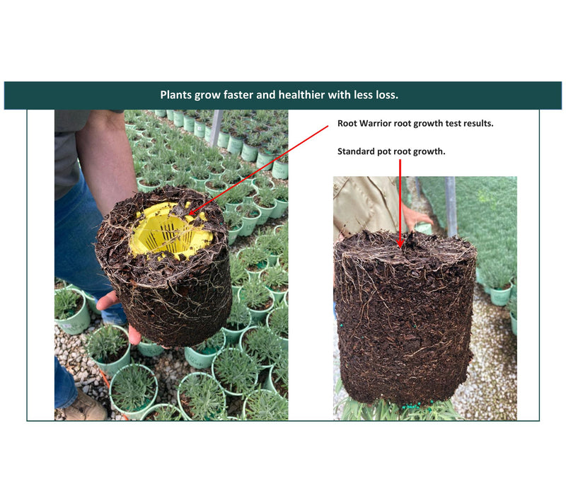 Root Warrior Plant Lover's Companion  Set of 8 Planter Inserts — View 4