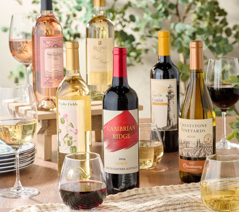Vino Voyage (12) 750ml Wines of the World Bottle Set — Main view