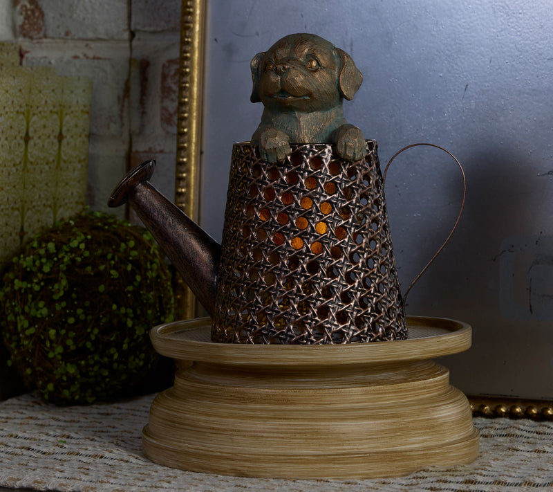 "As Is" Girl Next Door by Carolyn Gracie Illum Outdoor Glow Basket — View 6