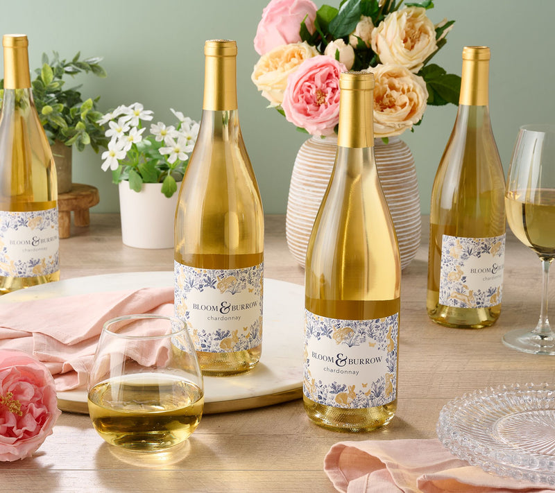 Vino Voyage Spring Wines (4) 750ml Bottle Set — Main view