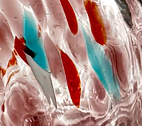 "As Is" Ultimate Innovation S/2 Hummingbird Feeders w/ Kit — View 8