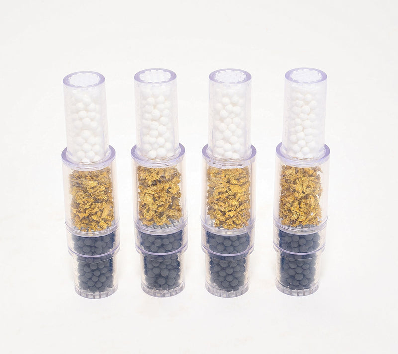 "As Is" Bernini Set of 4 Clear-Flo Cartridge Kit — Main view