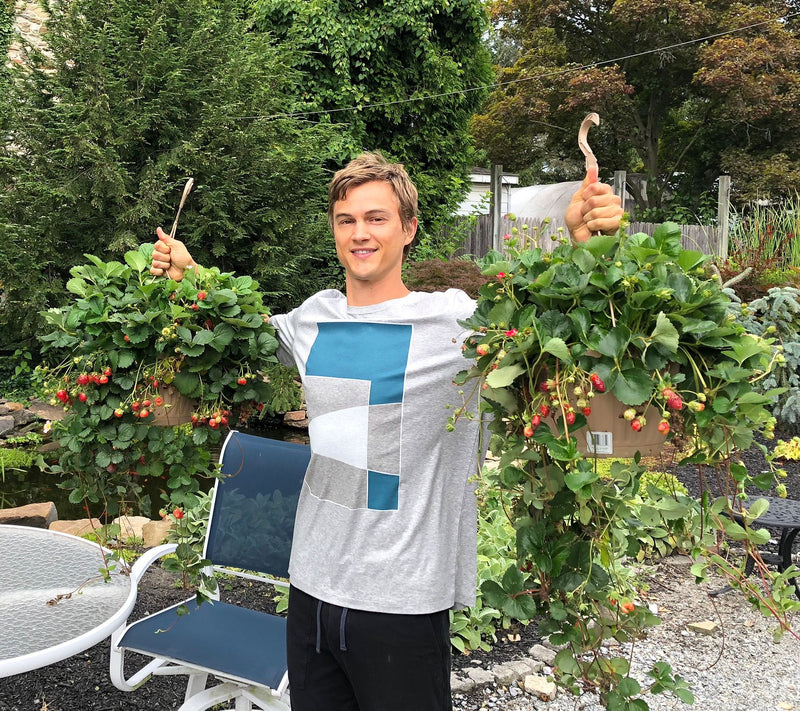 Roberta's Bounty All-Purpose Plant Food — View 6
