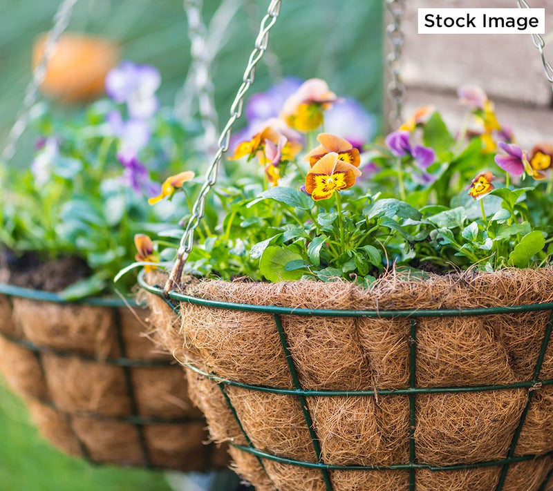 Roberta's Set of 2 Hanging Wire Baskets w/ Coco Liner & Chain — View 2