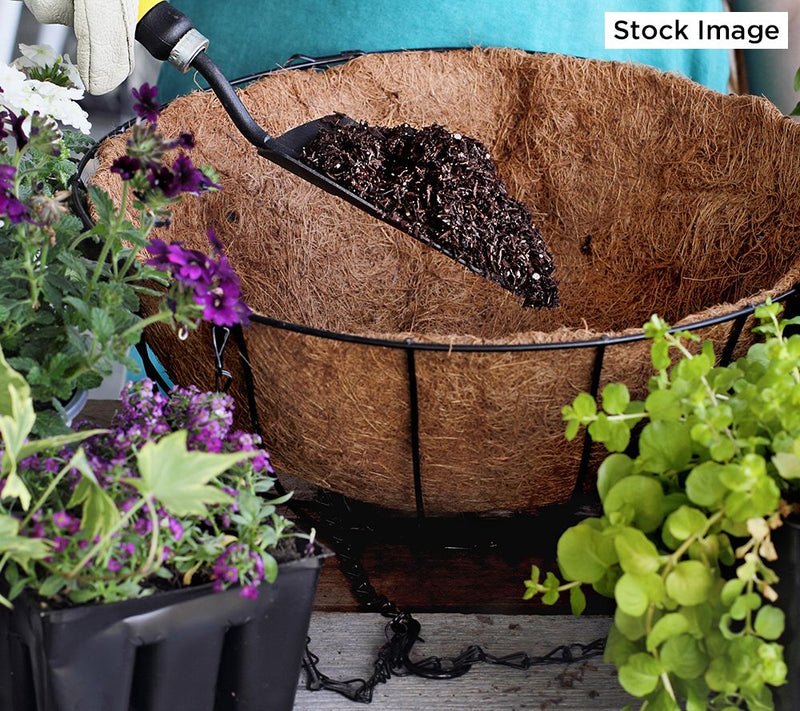 Roberta's Set of 2 Hanging Wire Baskets w/ Coco Liner & Chain — View 3