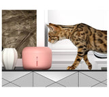 Thumbnail 13