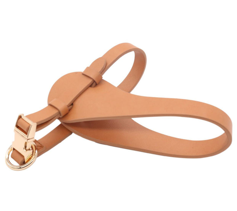 Pet Life 'Ever-Craft' Boutique Series Leather DHarness — View 5