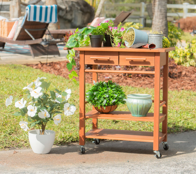 Compass Home Eucalyptus Wood Rolling Cart — View 9