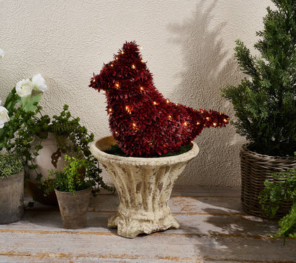 Marigold 17" Cardinal Topiary with Battery Operated Lights