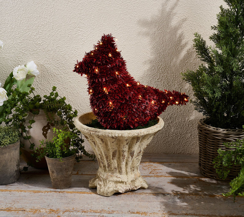 Marigold 17" Cardinal Topiary with Battery Operated Lights — Main view