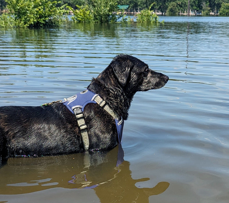 Body Glove Cooling Harness — View 3