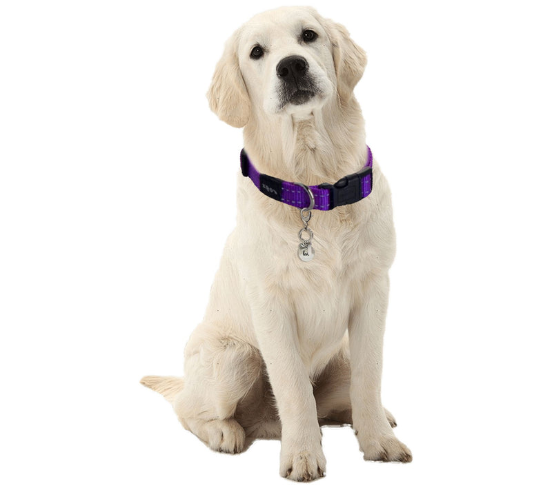 Tanya Creations Stainless Steel Dog Collar Charm — View 4