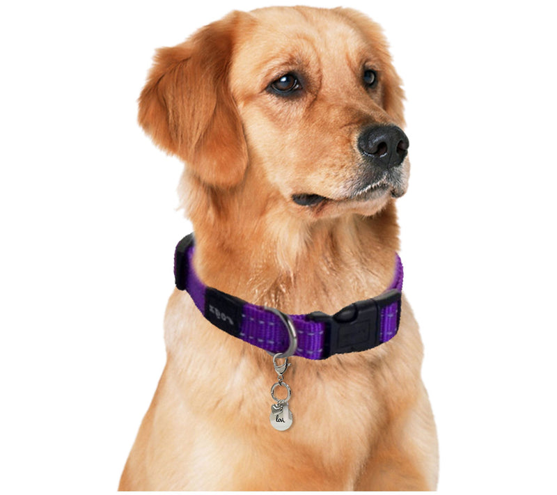 Tanya Creations Stainless Steel Dog Collar Charm — View 3