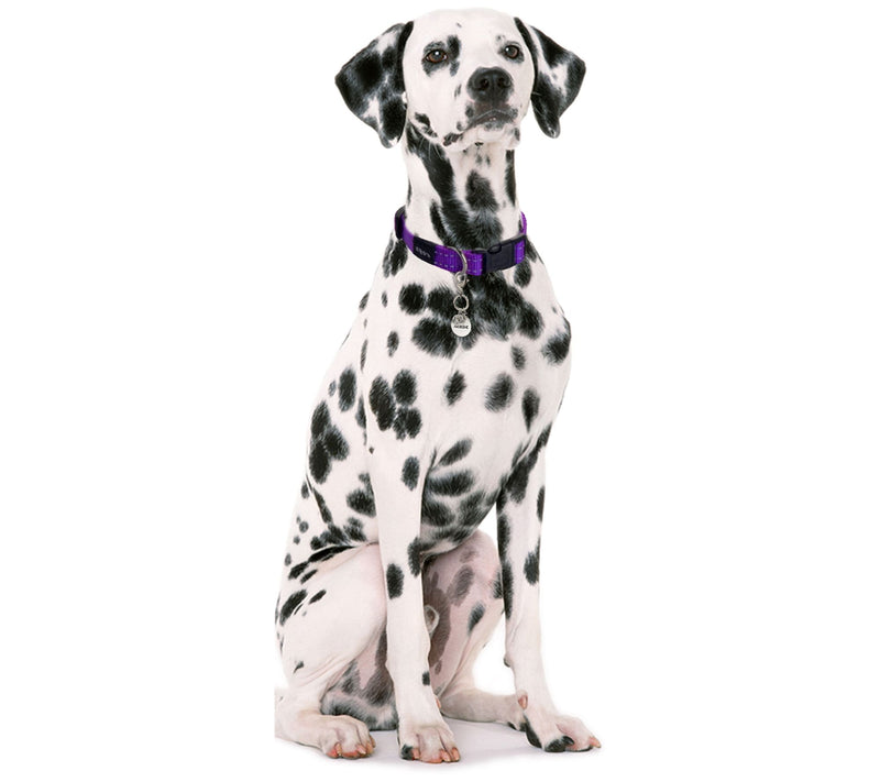 Tanya Creations Stainless Steel Dog Collar Charm — View 7