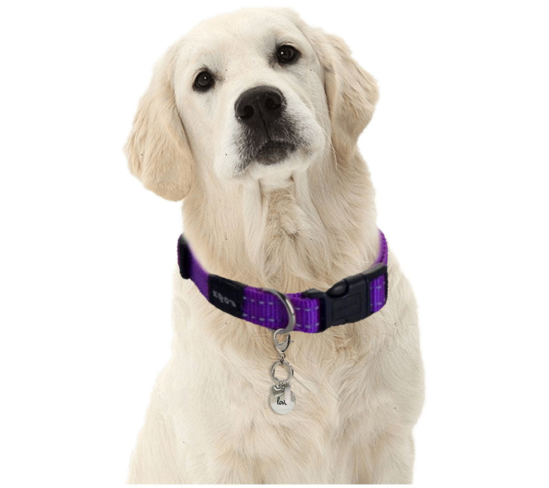 Tanya Creations Stainless Steel Dog Collar Charm — View 5