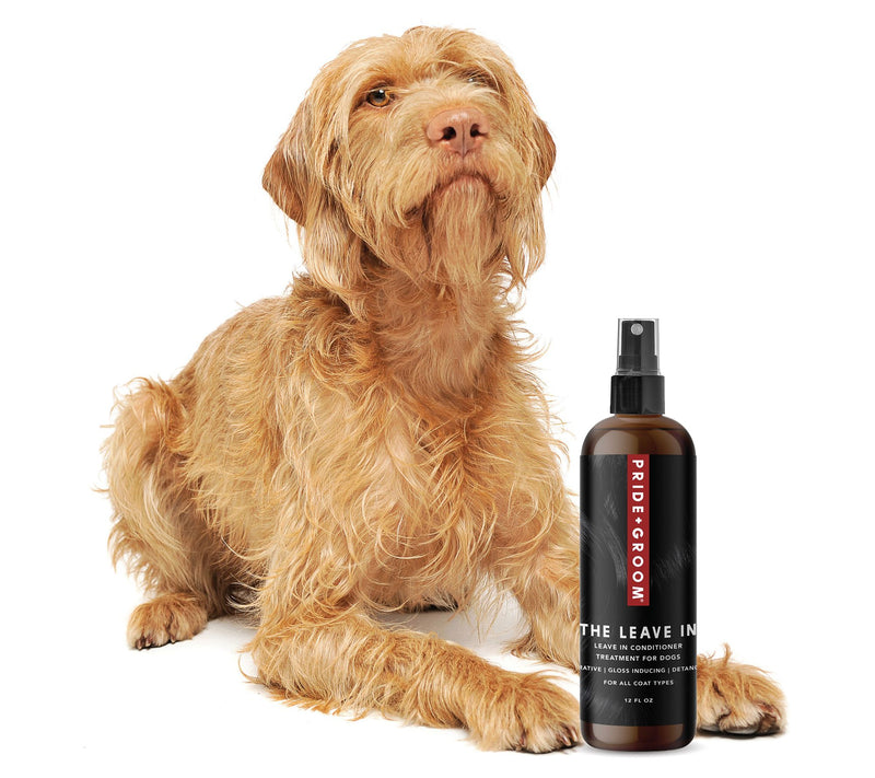 Pride+Groom 12 Fl Oz Leave In Conditioner w/ Bath Brush — View 3