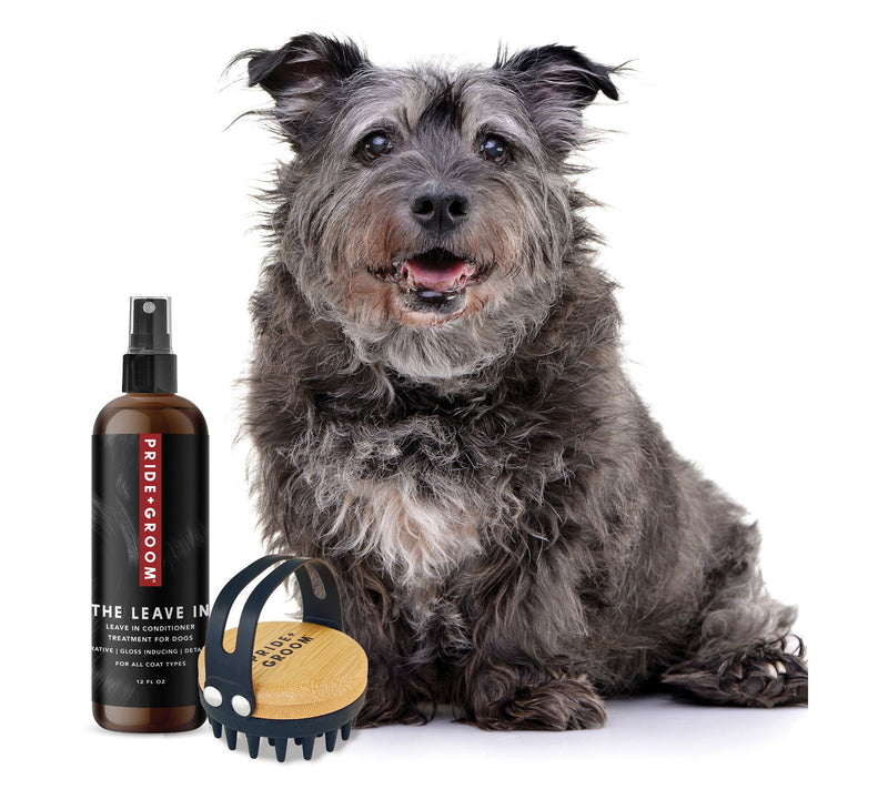 Pride+Groom 12 Fl Oz Leave In Conditioner w/ Bath Brush — View 2