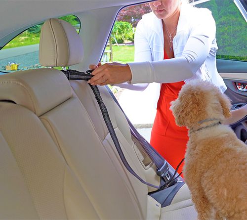 Pet Field 2-Piece Car Seatbelt Kit with Pet Barrier — View 3