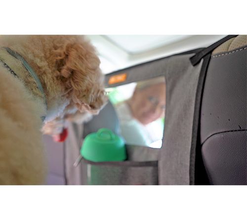 Pet Field 2-Piece Car Seatbelt Kit with Pet Barrier — View 5