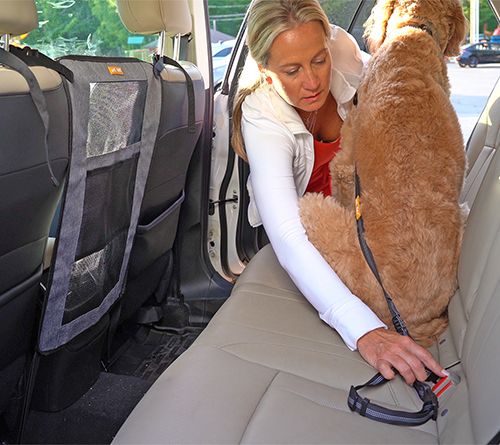 Pet Field 2-Piece Car Seatbelt Kit with Pet Barrier — View 4