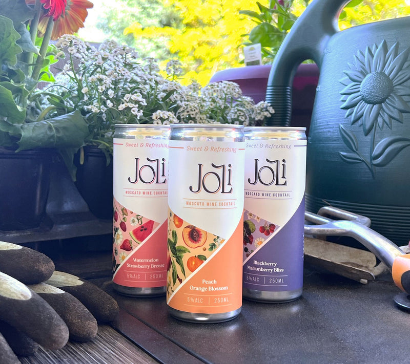 Vino Voyage Joli (12) 250ml Cans Moscato Wine Cocktails — View 5