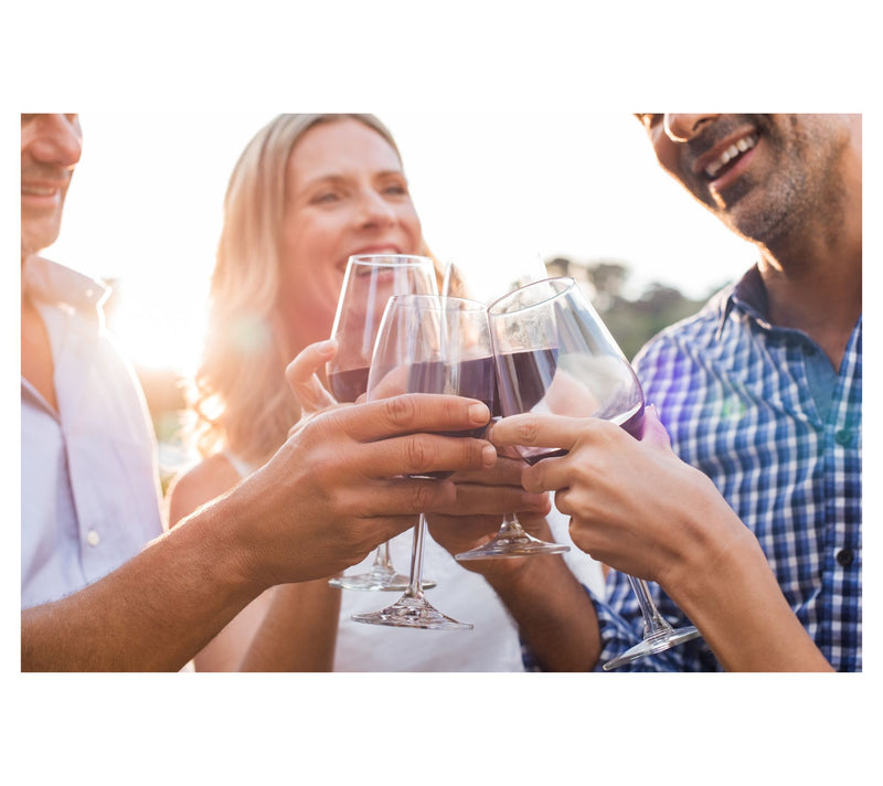 Vino Voyage Cabs are King 12 Wines — View 7