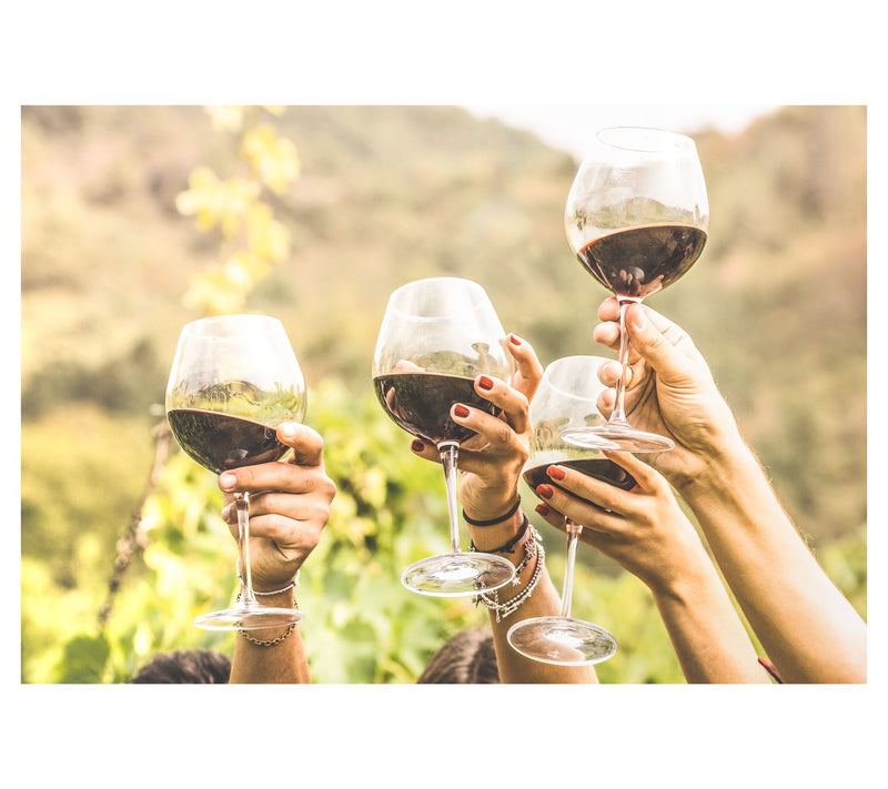 Vino Voyage Red Wine Lovers 12 Wines Variety — View 8