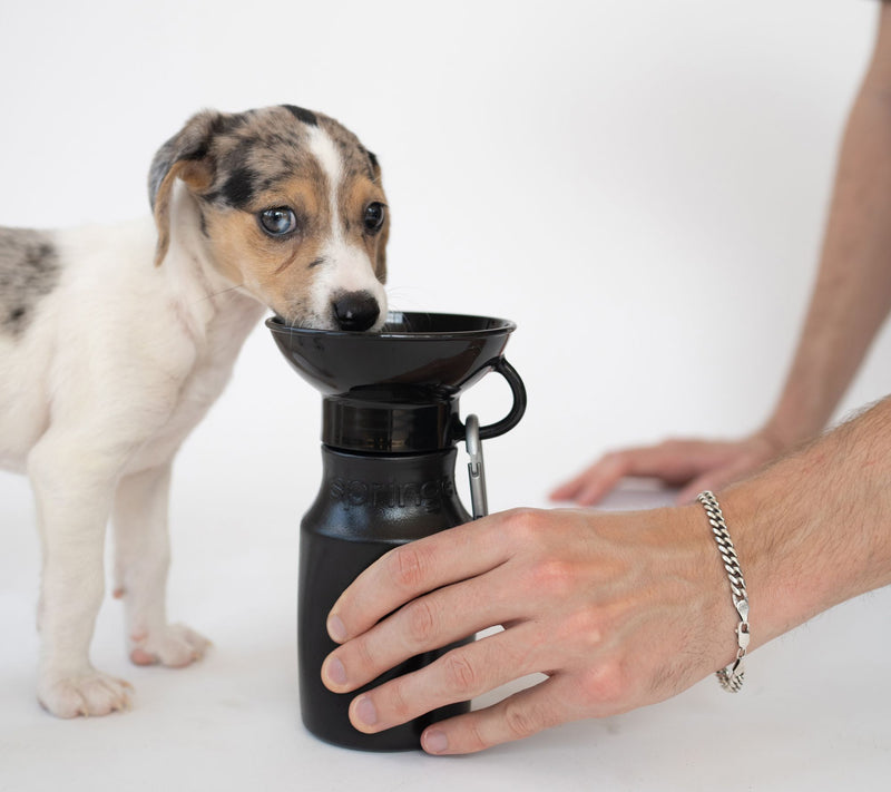 Springer S/2 Mini 15oz. Leak-Tight Portable Dog Water Bottle — View 8