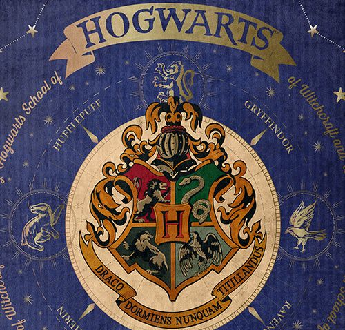The Northwest Harry Potter Silk Touch Throw — View 2