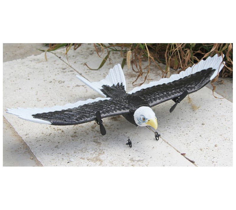 Jupiter Creations Bald Eagle RC — View 5