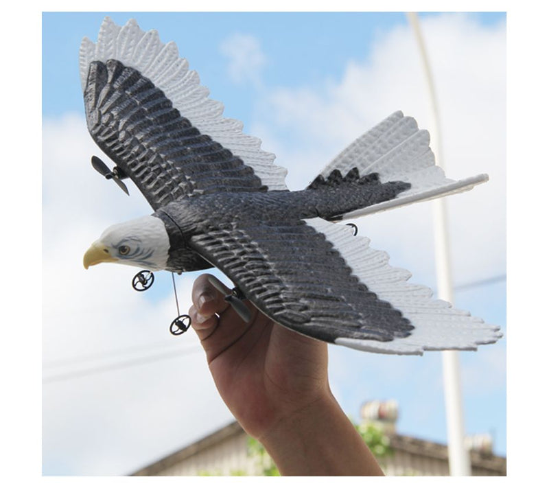 Jupiter Creations Bald Eagle RC — View 3
