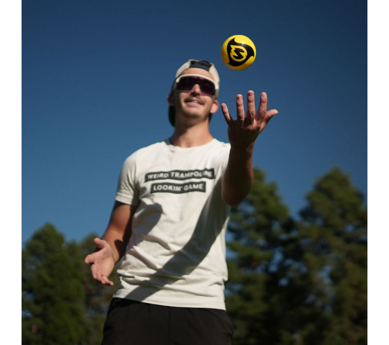 Spikeball Pro Balls 2 Pack — View 4