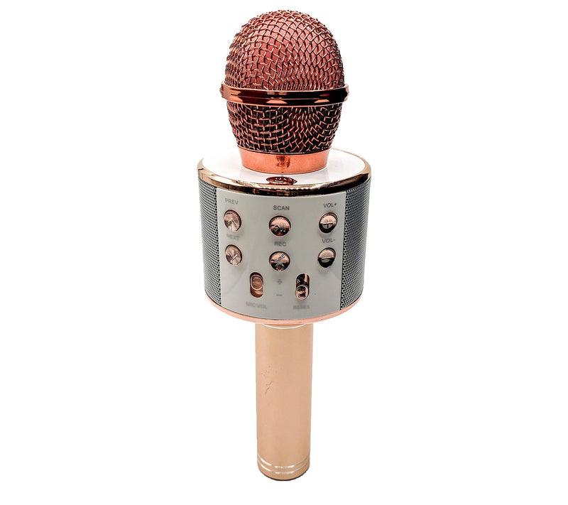 Perfect Pitch Karaoke Wireless Microphone & Recorder — View 9