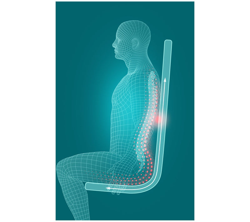 HoMedics Shiatsu Full Body Flex Heated MassageCushion — View 4