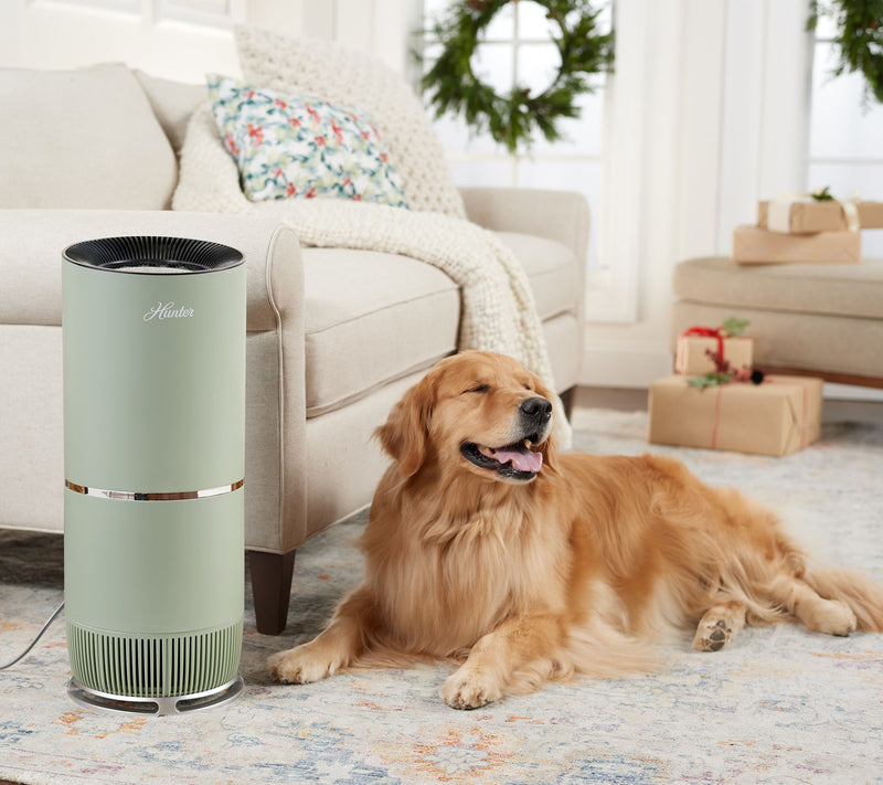 Hunter HP670 True HEPA Digital Tall Tower Air Purifier — View 15