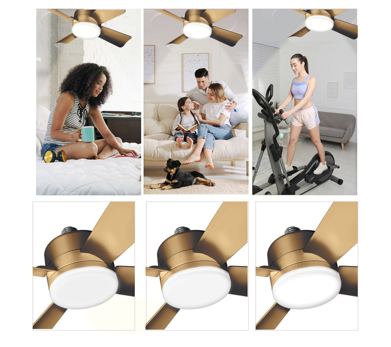 Bell & Howell 2-in-1 Socket Ceiling Metallic Fan & LED Light — View 9