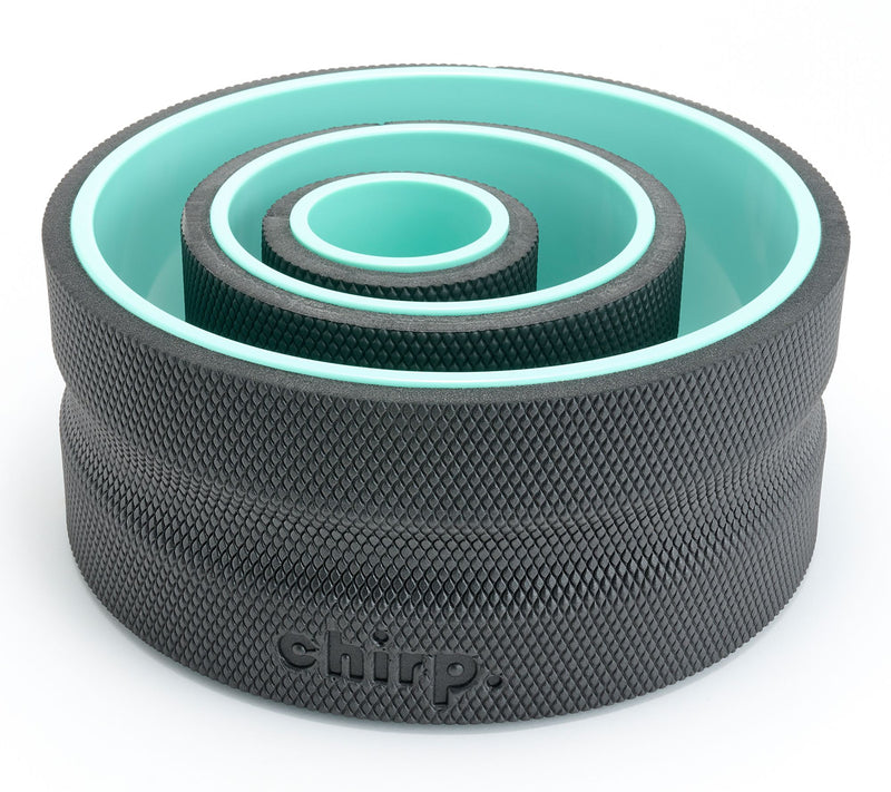 Chirp Wheel+ Set of 3 Stretching Wheel Foam Rollers — View 2