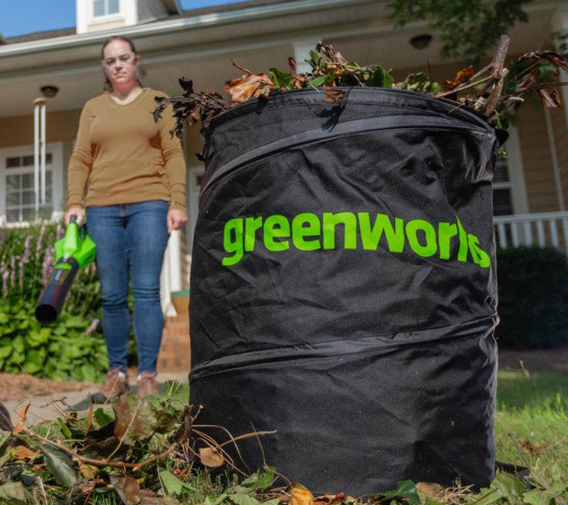 Greenworks Powerall 24V Blower with Leaf Clipping Bag & Battery — View 3