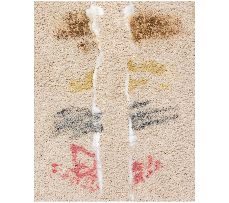 Bull Shot S/2 18oz Max Strength Carpet Spot & Stain Remover — View 4