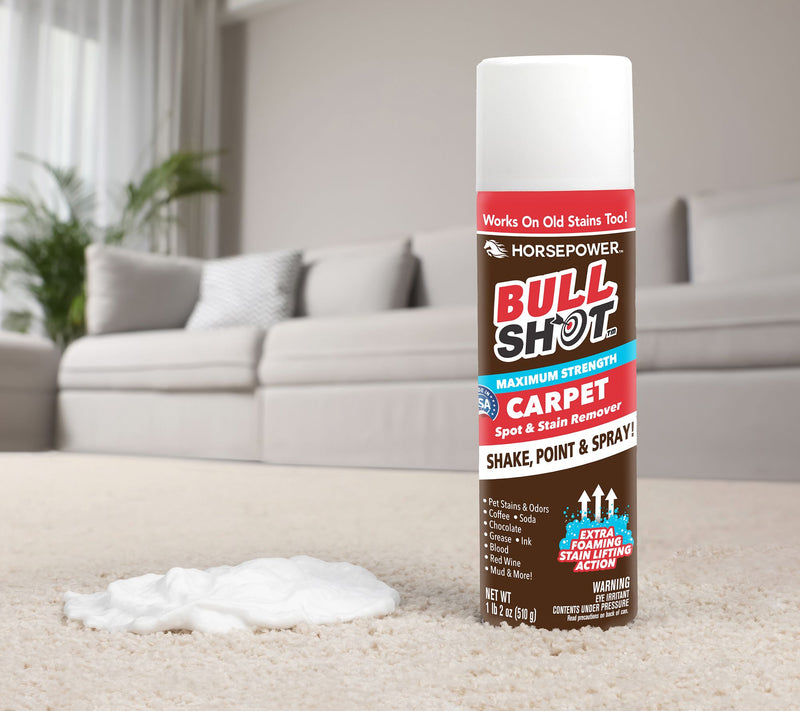 Bull Shot S/2 18oz Max Strength Carpet Spot & Stain Remover — Main view