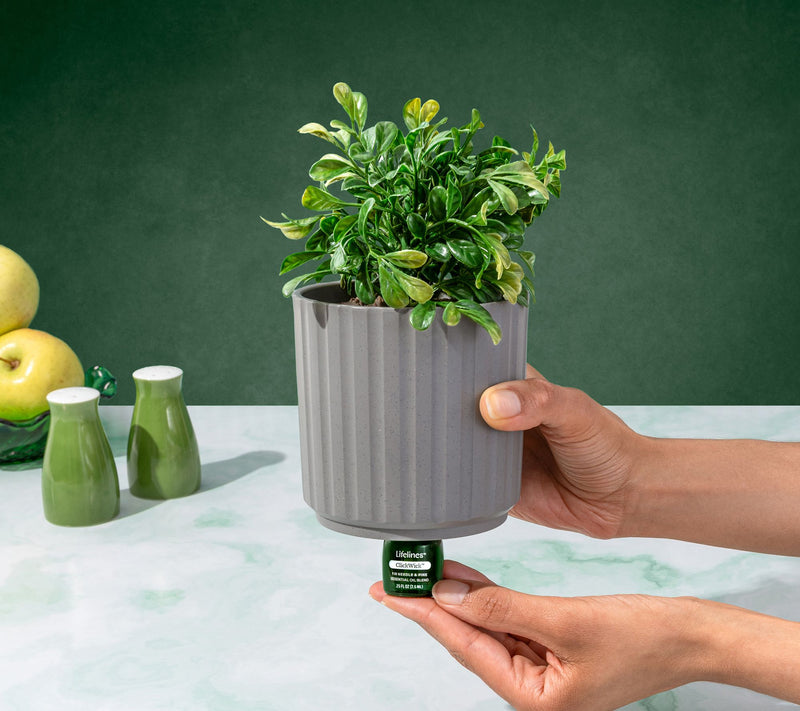 Lifelines Rechargeable Faux Plant Aroma Diffuser — View 2