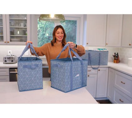 DuraSack Set of 3 Collapsible Nesting Storage Totes
